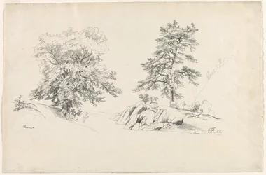 Kasztan i Sosna, 1869.