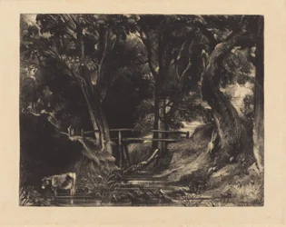 A Dell, Helmingham Park, Suffolk