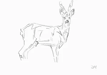 Roe Buck, 2024 (tusz z bambusowym piórem trzcinowym na papierze)