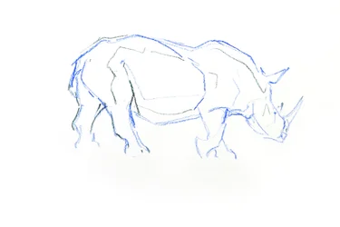 Nosorożec biały, 2020 (kredka na papierze)