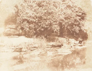 Burnside, Fife Island na rzece Almond, 1843-47. Twórcy: David Octavius Hill, Robert Adamson, Hill & Adamson.