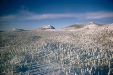 Syberia w zimowym krajobrazie nad bagnami i lasami pokrytymi śniegiem

