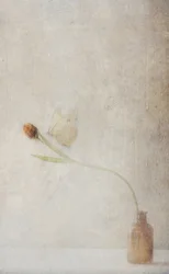 Zwiędająca kompozycja z tulipanami