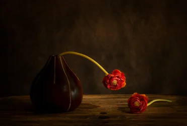 Martwa natura z ranunculusami w stylu Moody’ego