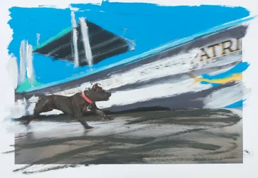 Perro en Sayulita, 2019 (farba akrylowa na wydrukowanym zdjęciu)
