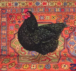 Czarny dywanowy kurczak, 1995
