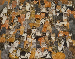 Podwójny kot-spread