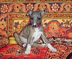 Moje dziecko Whippeta, 1994