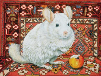 Dywan-Szynszyla, 1992