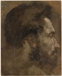 Beccafumi - Głowa brodatego mężczyzny z profilu w prawo, ok. 1530-1535
