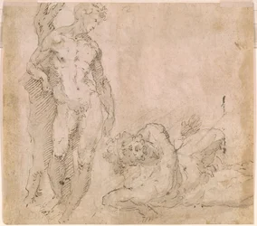 Beccafumi - Verso Akt męski oparty o pień drzewa i leżący Akt męski z głową odrzuconą do tyłu, ok. 1530-1540