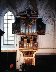 Widok organów renesansowych