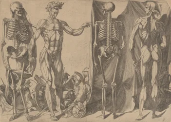 Dwóch obdartych ze skóry mężczyzn i ich szkielety, ca. 1540-45.