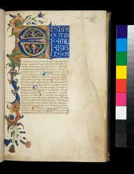 Ms 373. Pseudo-Cicero, Rhetorica ad Herennium i inne prace, f.1r. Iluminowany inicjał [E] i częściowa bordiura z dekoracją liścia i kwiatu akantu, pierwsza linia tekstu białą kapitelą ekspozycyjną na niebieskim tle, ok. 1337 (pergamin)