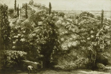 Wieczorne cienie