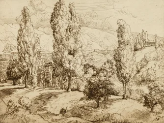 Pola Asolo