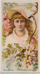 Acacia: Chaste Love, z serii Floral Beauties and Language of Flowers N75 dla Duk..., 1892.