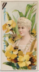 Gilly-flower: Unfading Beauty, z serii Floral Beauties and Language of Flowers N7..., 1892.