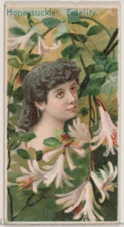 Wiciokrzew: Wierność, z serii Kwiatowe piękności i Język kwiatów N75 dla D..., 1892.