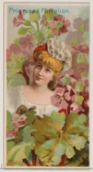 Pierwiosnek: Flirt, z serii Floral Beauties and Language of Flowers N75 dla Du..., 1892.