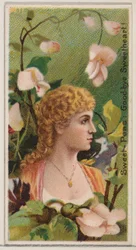 Sweet-Peas: Goodbye Sweetheart!, z serii Floral Beauties and Language of Flowers..., 1892.