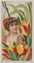 Tulip: Deklaracja miłości, z serii Kwiatowe piękności i język kwiatów N75..., 1892.