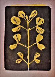 Złota forma botaniczna