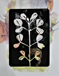 Pastelowe studium botaniczne