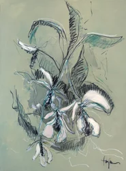 Elegancki szkic orchidei