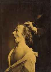 Zdziwienie, osłupienie, zdumienie, 1854-1856, druk 1862.
