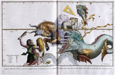 Niebiańska mapa konstelacji: Orion, Byk, Baran i Ryby, 1666-1668