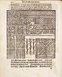 Szkolenie i sadzenie w ogrodzie, z The Dutch Gardener, Johann van der Groen, opublikowane 1699