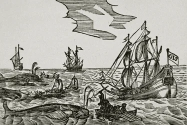 Statki wielorybnicze, z „Journael” Jacoba Segersza van der Brugge