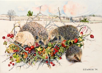 Jeże w Hedgerow Basket, 1996 (akryl na płótnie)