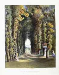 Vista” w Gardens of Teddesley, siedziba szanowanego lorda Hathertona, 1857 r