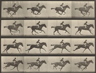 Numer rejestracyjny 626. Galop, klacz czystej krwi gniadej, Annie G., 1887.