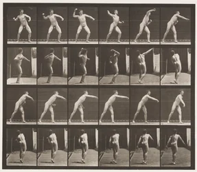 Tabliczka 286. Baseball; Rzucanie