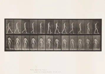 Tabliczka 546. Ataksja lokomotoryczna; Spacer, 1885