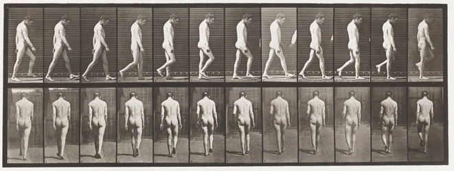 Tabliczka 549.Padaczka; Spacer, 1885