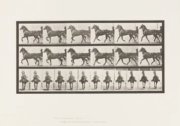 Płyta 612. Kłus; Nadąsany; Gniady koń, Dereumd