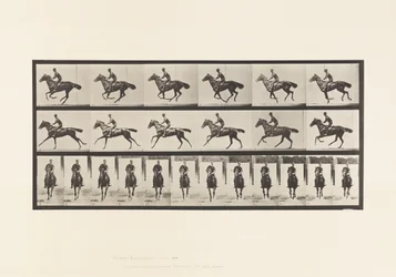 Płyta 632. Galop; Siodło; Bukiet koni pełnej krwi angielskiej