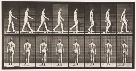 Płyta 8. Chodzenie