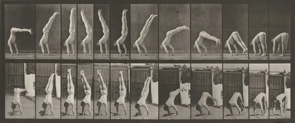 Płyta numer 371. Acrobat, pionowa "prasa w górę", 1887 (zdjęcie)