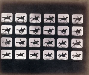 Bieganie (galop), Eadweard J. Muybridge
