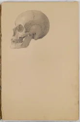 Anatomia Sketch Book, 1849 (szkicownik zawierający rysunki w kolorze grafitowym)