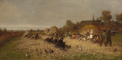 Pszczoła łuska, wyspa Nantucket, 1876.
