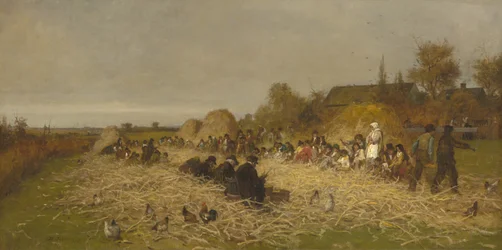 Pszczoła łuska, wyspa Nantucket, 1876
