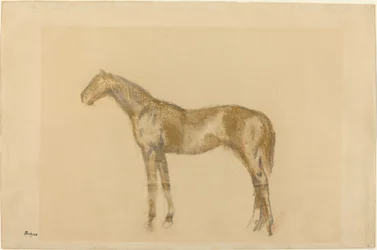 Koń, ok. 1890.