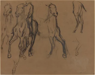 Studium koni, ok. 1886 (węgiel drzewny i grafit na papierze brązowym)