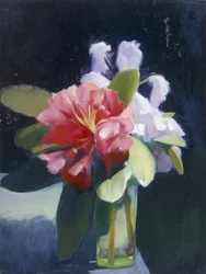 Rododendrony